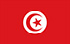 TGM Surveys to earn cash in Tunisia